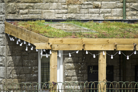 Riefa Sedum on Loggia